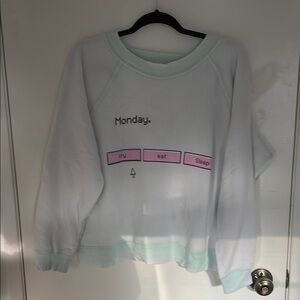 Wildfox Mint Green Monday Sweater